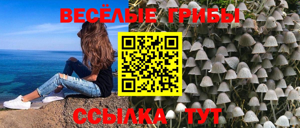 Псилоцибиновые грибы GOLDEN TEACHER Клинцы